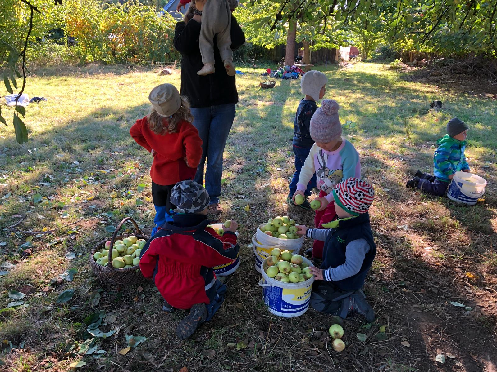 whatsapp image 2018-09-27 at 15 33 14 whatsapp image 2018-09-27 at 15 33 14