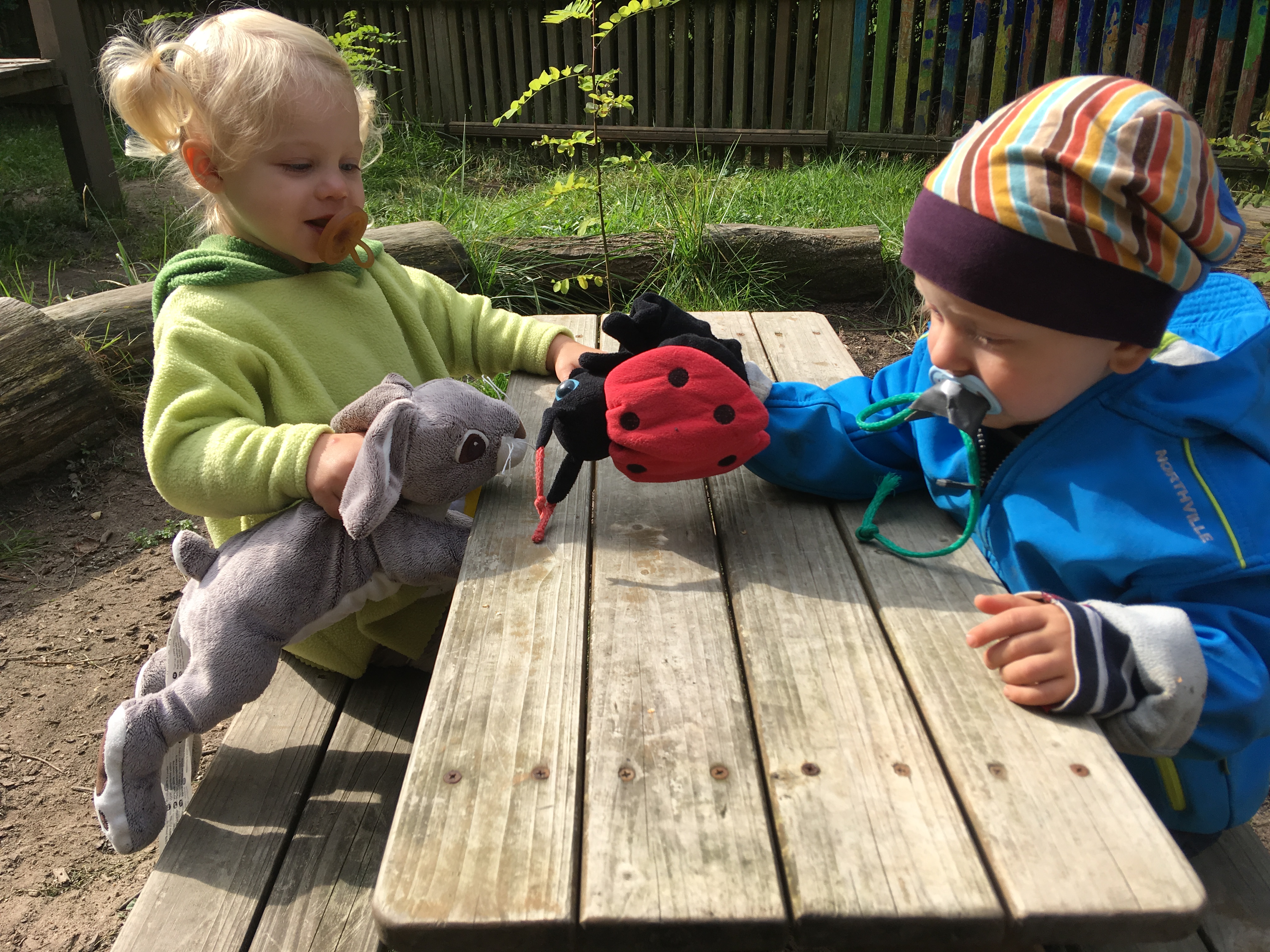 Gruppen_Krabbelkaefer photo-2018-09-10-10-52-12 1988