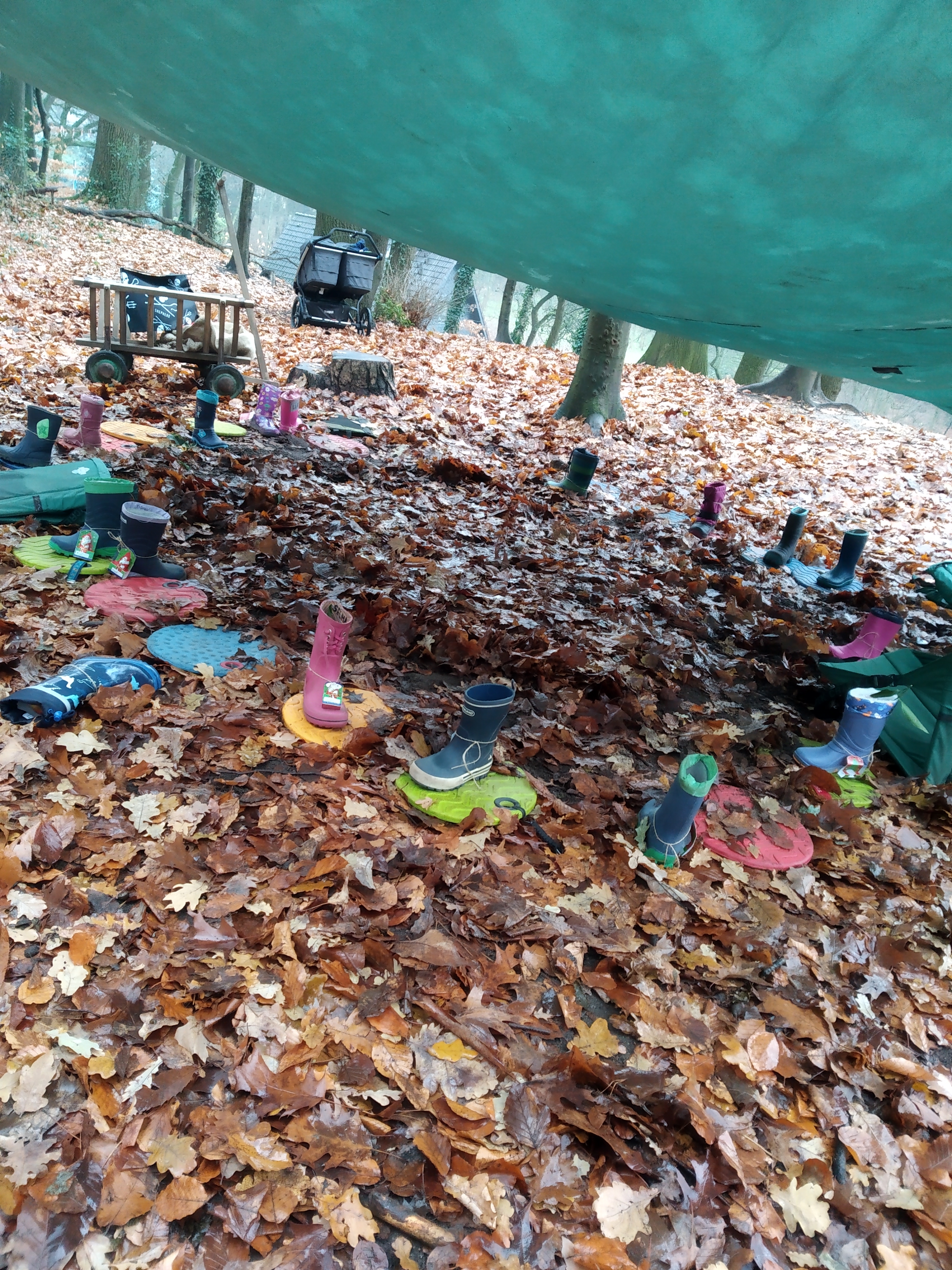 img 20181206 113051 img 20181206 113051