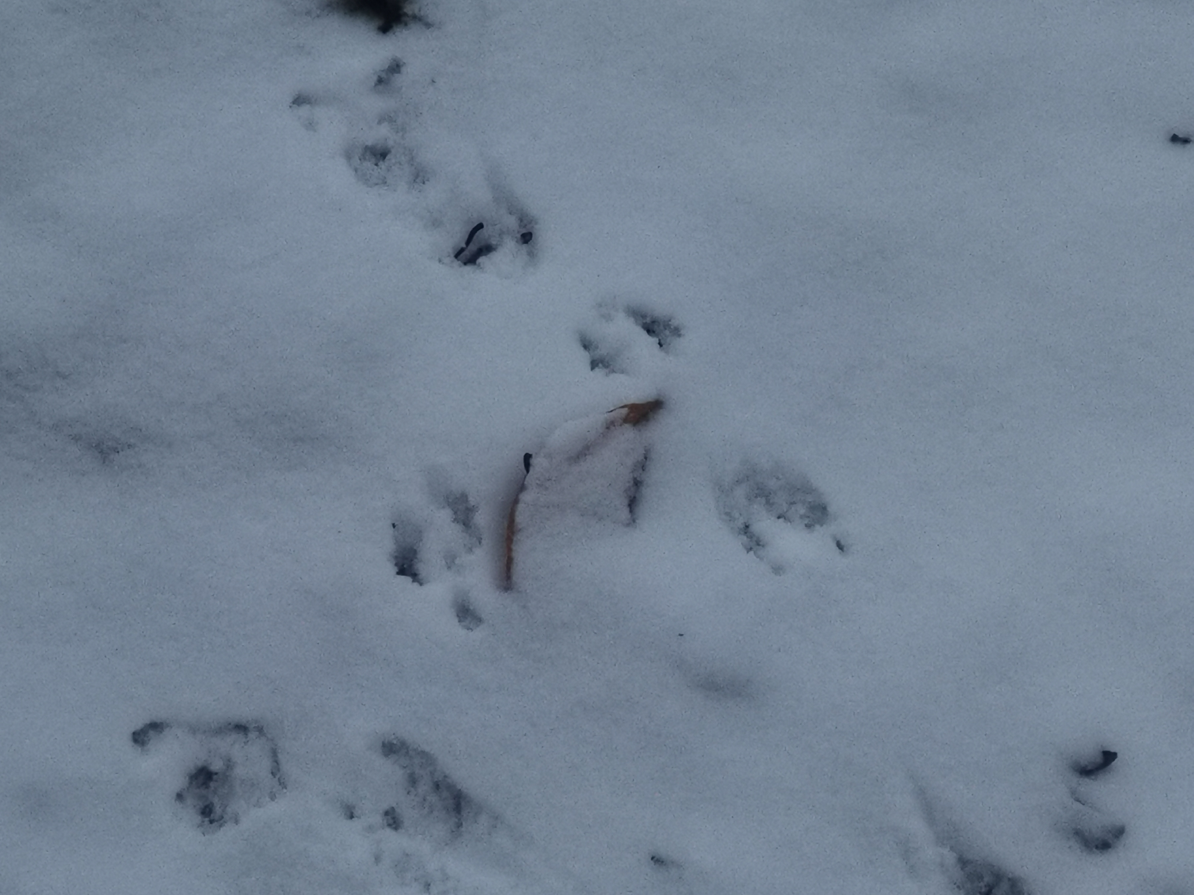 201901 image 86  201901 image 86